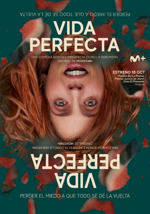Cartel pelicula vida perfecta